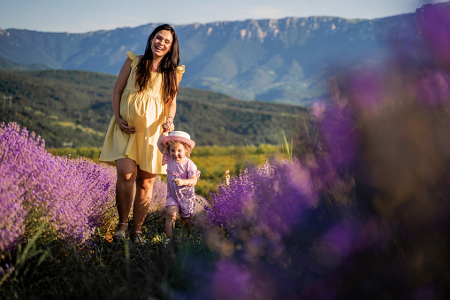 Mother and daughter walking through lavender field at sunset