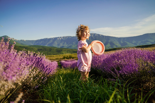 Little girl having fun in lavender field at sunset