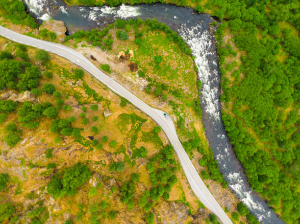 istock Road and river in green mountains, Norway 1406234670