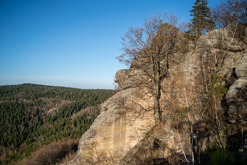 Photo from beautiful natural area with rocks in Czech republic, Broumovsko