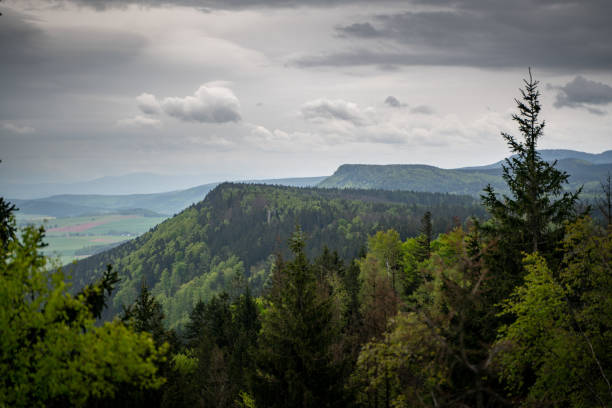 istock Aerial landscape scenery with large forest 1406236986
