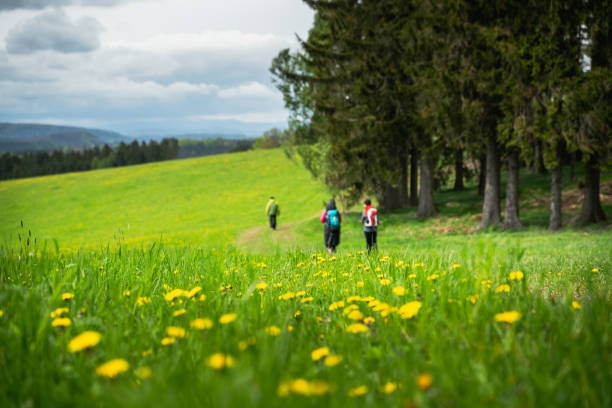 Photo from beautiful natural area with rocks in Czech republic, Broumovsko