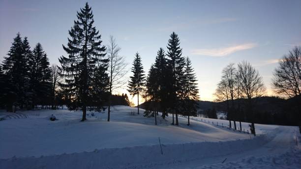 istock Backlight in Winter, Doubs, France 1406238520