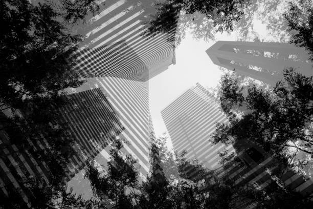 istock MAGNIFICENT SKYSCRAPERS IMMERSED IN NATURE IN TORONTO 1406238545