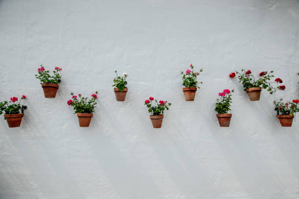 istock Typical spanish flowerpots on the wall 1406242629