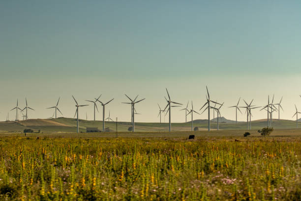 istock Wind turbines in land scenery 1406242803