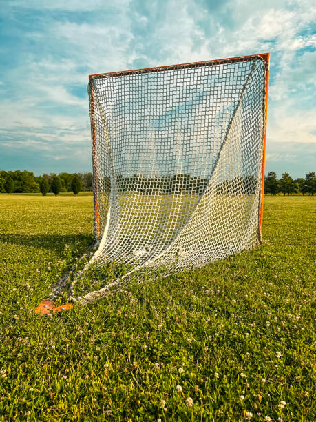 istock Soccer Net Centered in a Grassy Field 1406247062
