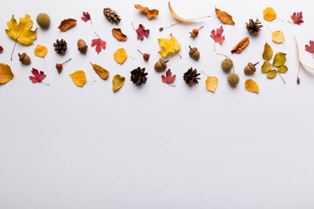 istock Autumn composition. Pattern made of dried leaves and other design accessories on table. Flat lay, top view 1406250152