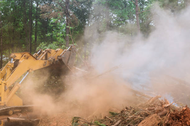 根絶および森林伐採トラクターは、根絶プロセス中に新しい家屋建設のために土地を準備するために使用されます - glade land construction vehicle built structure ストックフォトと画像