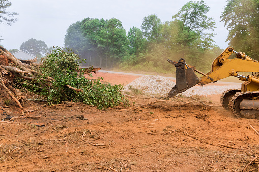 Durante el desarraigo de árboles y la deforestación, un tractor está trabajando en el proceso para preparar la tierra para la construcción de nuevas casas. photo