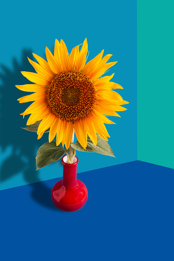 Sunflower on a 3D background. The concept of summer.