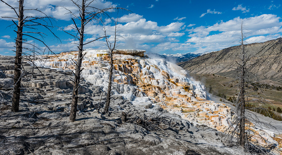 Palette Spring at Mammoth Hot Springs in Yellowstone National Park, Wyoming. Showing the many layers of calcium carbonate deposited over time.