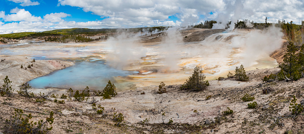 Porcelain Springs area of Norris Geyser Basin a very active thermal area in Yellowstone National Park, Wyoming.