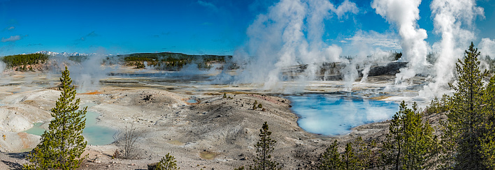 Porcelain Springs area of Norris Geyser Basin a very active thermal area in Yellowstone National Park, Wyoming.