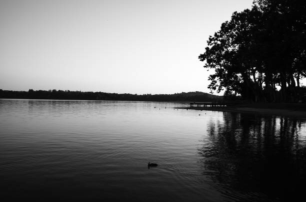 Gavirate - Varese lake at sunset
