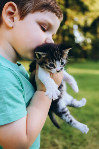 istock Little boy with kitten in his hands, outdoor 1406275869