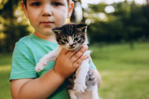istock Little boy with kitten in his hands, outdoor 1406275875