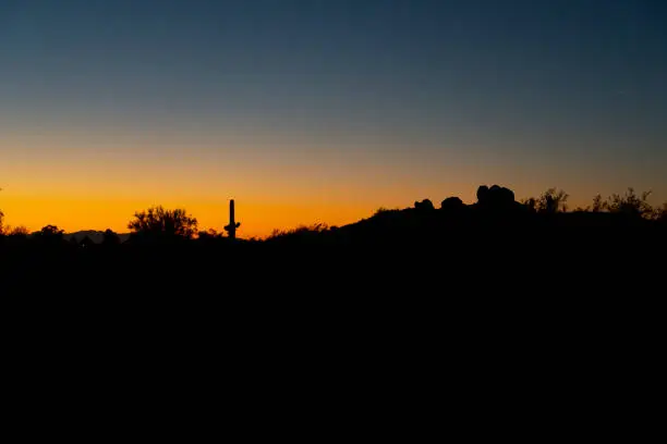The silhouette of the buttes and a Saguaro Cactus at sunset in Phoenix, Arizona