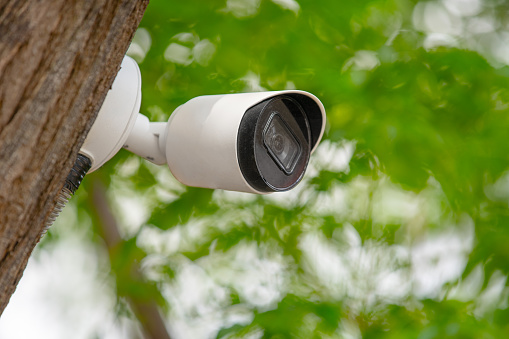 The surveillance camera is hanging on tree. Video surveillance system is installed in the city park to maintain public order and security. Means of guarding and control of private territory