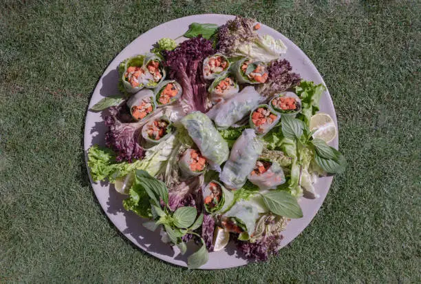 Healthy vietnamese spring rolls with fresh vegetables and lime slices on round ceramic tray on the green lawns. Top view, Selective focus.