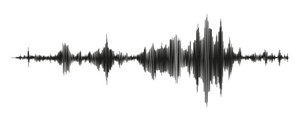 ilustrações de stock, clip art, desenhos animados e ícones de seismograph measurement or lie detector graph. seismic measurements with data record. vector illustration - seismologist