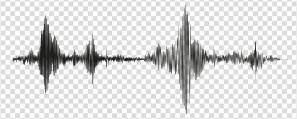 Vector illustration of Seismograph measurement or lie detector graph. Seismic measurements with data record. Vector illustration