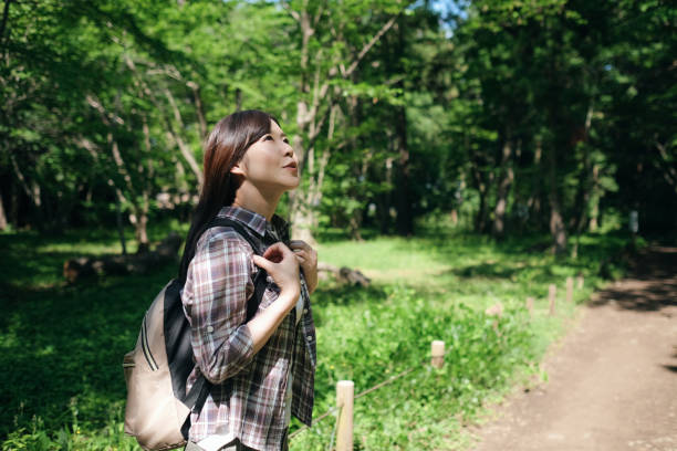 istock Woman hiking in forest 1406287071