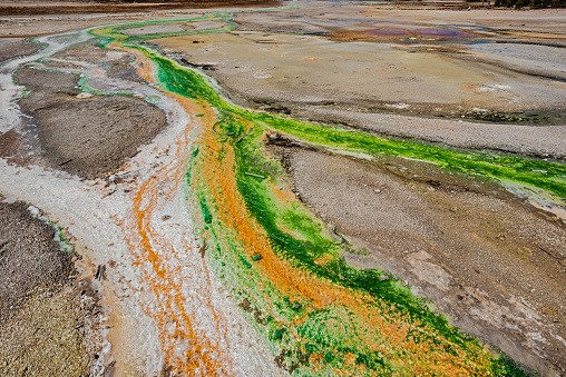 Runoff channels with algae and bacteria in Norris Geyser Basin showing Geothermal activity in Yellowstone National Park, Wyoming.