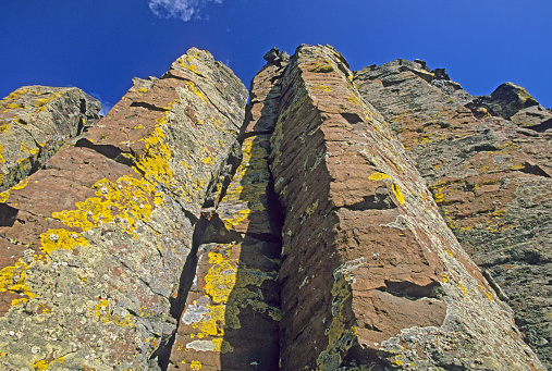 Columnar basalt rock at Sheepeater Cliffs in Yellowstone National Park, Wyoming. Lichen cover rock.