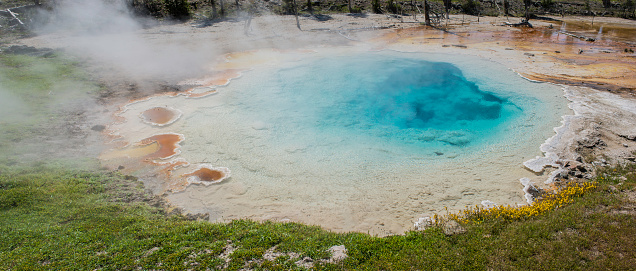 Silex Spring at Fountain Paint Pot Thermal Area. Yellowstone National Park, Wyoming. A deep blue hot spring with travertine around.