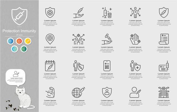 illustrations, cliparts, dessins animés et icônes de protection immunité icônes de ligne infographie - medical research medicine laboratory computer graphic