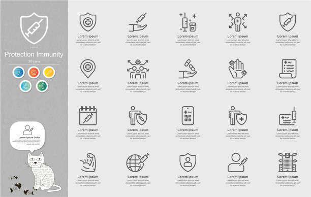 Protection Immunity Line Icons Content Infographic Protection Immunity Line Icons Content Infographic allergy icon stock illustrations