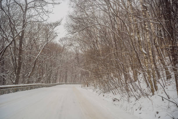 istock Winter road through snowy fields and forests 1406297909