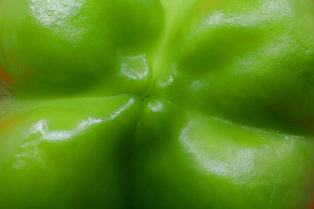 close-up of green bell pepper detail