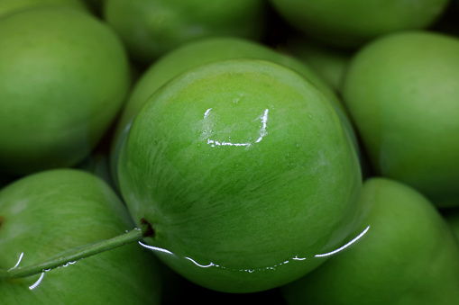 close-up wet green fresh plums
