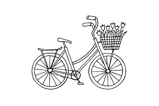 Hand-drawn bicycle with a basket of tulips. Doodle vector illustration isolated on white background. Design element for card, cover, sticker.