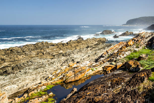 istock Looking along the rugged, Jagged. Rocky Tsitsikamma Coastline 1406310314