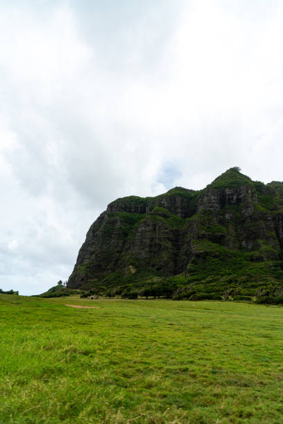 istock Gloomy day at the Kualoa Ranch in Honolulu, Hawaii 1406312169