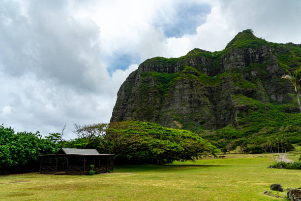 istock Touring the Kualoa Ranch in Honolulu County, Hawaii 1406312362