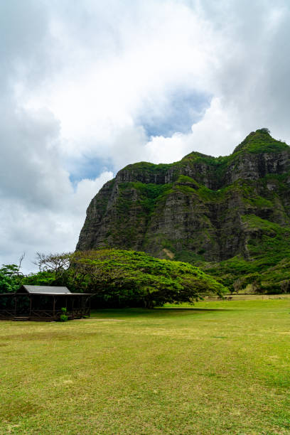 istock Exploring the Kualoa Ranch in Honolulu, Hawaii 1406312414