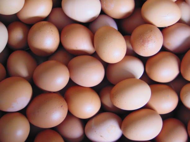 istock Egg in the market, Egg background, Food 1406312510