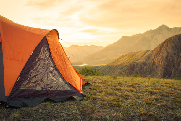 istock camping tent in the forest 1406314423