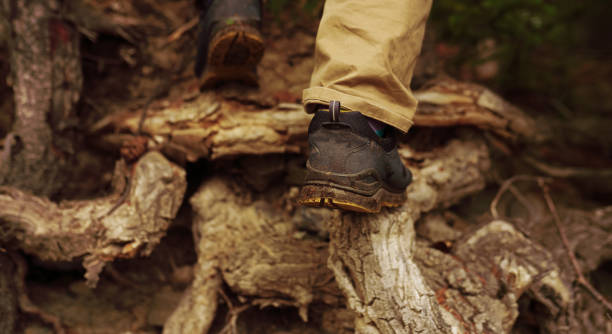 istock Footsteps in the countryside 1406314446