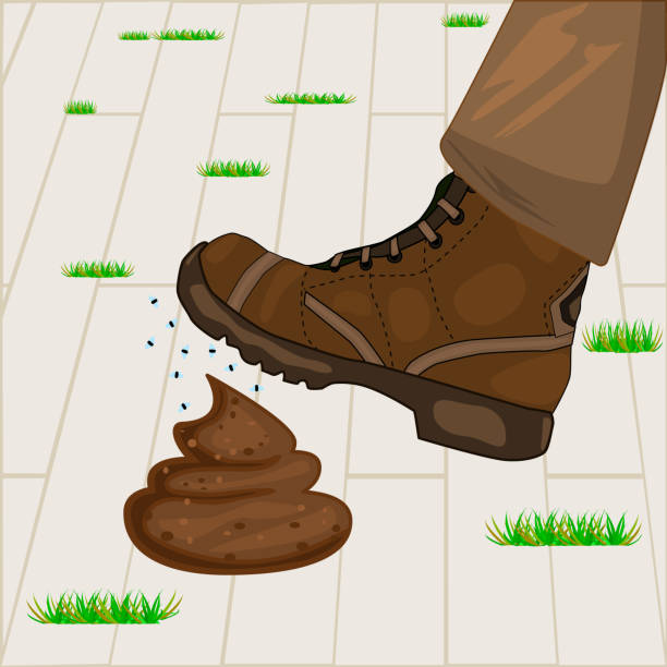 Man foot stepping into dog poop. Businessman step on poo. Men foot with shoe stepped on animal shit. vector art illustration