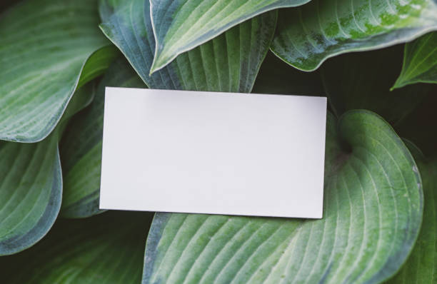 istock Mock up white empty paper card on the green leaves 1406330598
