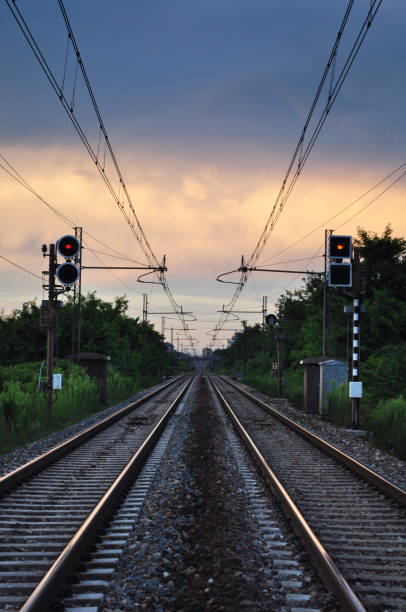 Train tracks in Summer late afternoon