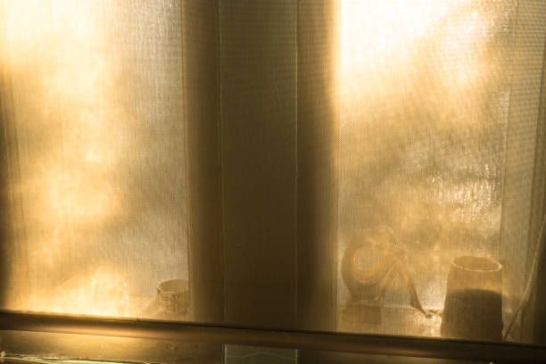 istock Evening golden hour through window curtain from inside house 1406339492