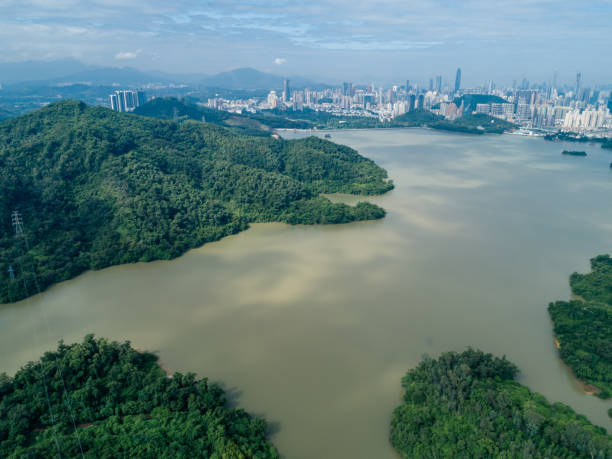 istock Beautiful landscape in forest at the lakeside 1406342950