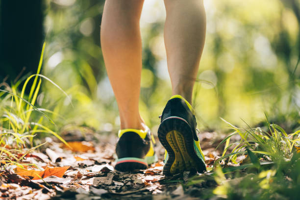 istock Woman runner running on forest trail 1406344072
