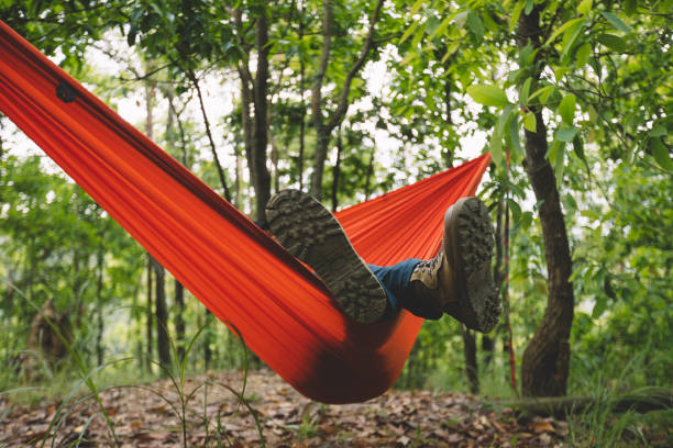 istock Relaxing in hammock in tropical forest 1406344263